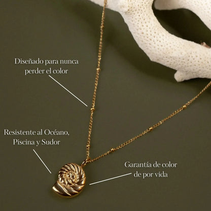 Collar Concha del Mar